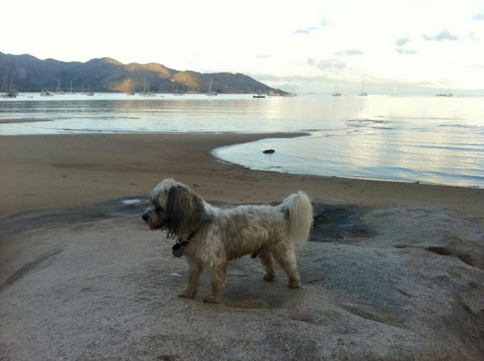 Executive Properties In North Ward Townsville And On Magnetic Island Bagian luar foto